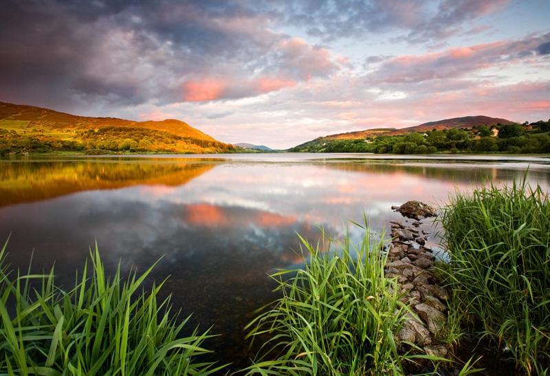 Sarah'S Cottage Newry Bagian luar foto